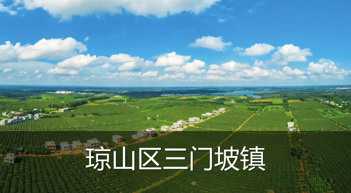 琼山区三门坡镇
