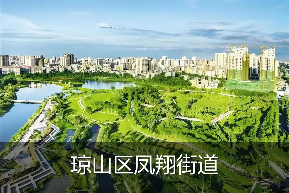 琼山区凤翔街道