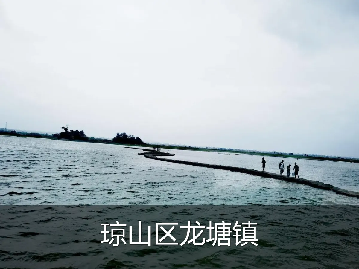 琼山区龙塘镇